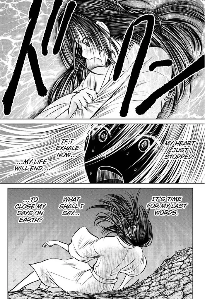 The Elusive Samurai Chapter 236 image 13_optimized